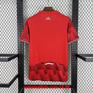 Alternative view of Maillot Lille Domicile 2025/2026