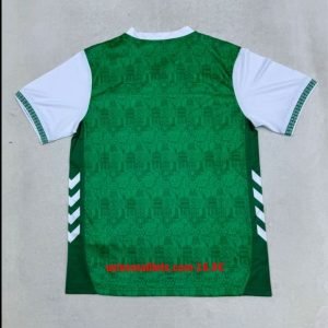 Alternative view of Maillot Saint-Etienne Domicile 2025/2026