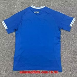 Alternative view of Maillot Strasbourg Domicile 2025/2026