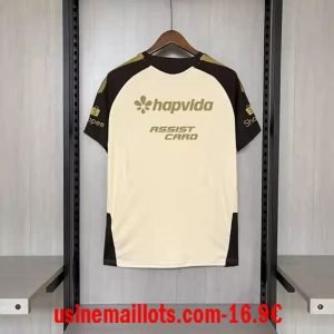 Alternative view of Maillot Training Flamengo 2026/2027 Tous Les Sponsors