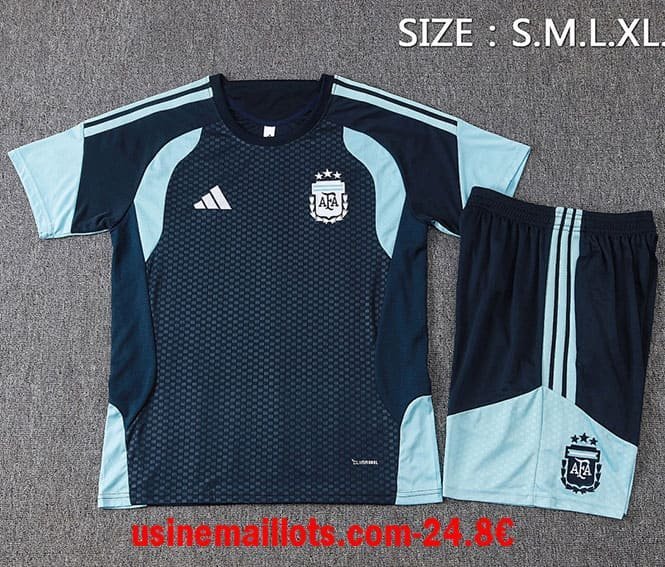 Ensemble Training Argentine 2026/2027 Bleu