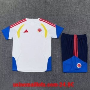 Ensemble Training Colombie 2026/2027