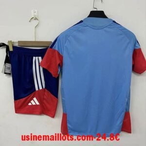 Alternative view of Ensemble Training Japon 2026/2027