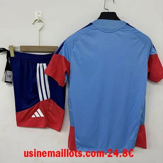 Ensemble Training Japon 2026/2027 – Image 2