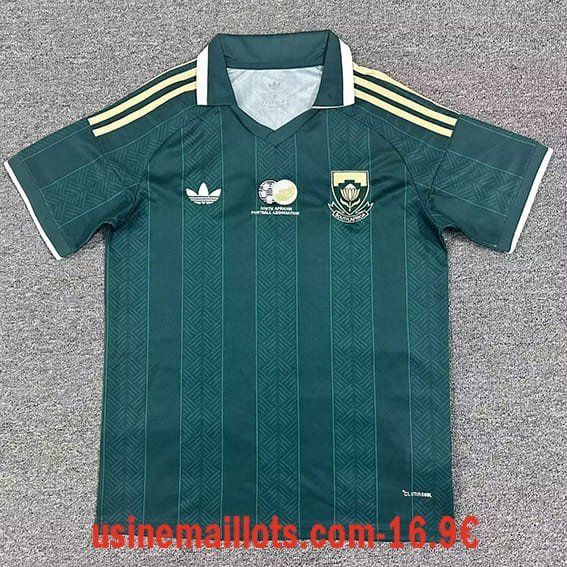Maillot Afrique du Sud Extérieur 2026/2027