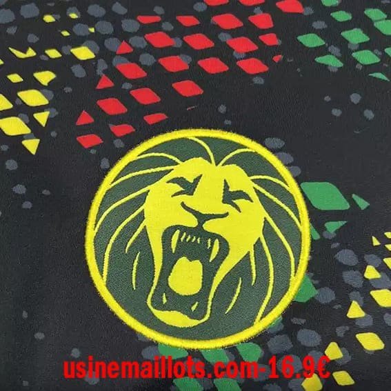 Maillot Cameroun Third 2025/2026 – Image 3