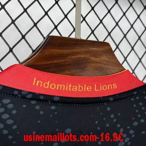 Maillot Cameroun Third 2025/2026 – Image 5