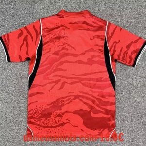 Alternative view of Maillot Coree du Sud Domicile Coupe du Monde 2026