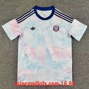 Maillot Costa Rica Extérieur Coupe du Monde 2026