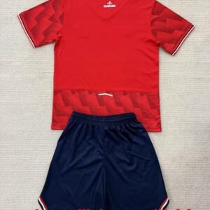Alternative view of Maillot Enfant Lille Domicile 2025/2026