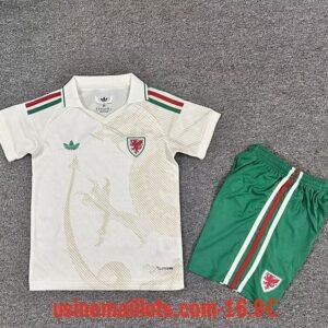 Maillot Enfant Pays de Galles Extérieur Coupe du Monde 2026