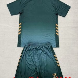 Alternative view of Maillot Enfant Werder Breme Third 2025/2026