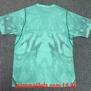 Alternative view of Maillot Gardien Bresil Coupe du Monde 2026 Vert