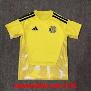 Maillot Gardien Ecosse Coupe du Monde 2026 Jaune