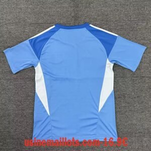 Alternative view of Maillot Gardien Newcastle United 2025/2026 Bleu