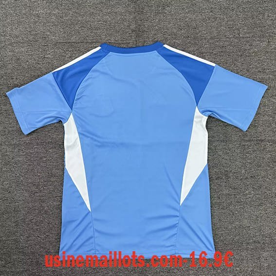 Maillot Gardien Newcastle United 2025/2026 Bleu – Image 2