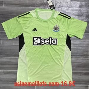 Maillot Gardien Newcastle United 2025/2026 Vert