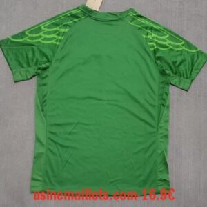 Alternative view of Maillot Gardien PSG 2025/2026 Vert