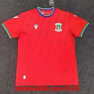 Maillot Guinée Domicile 2026/2027