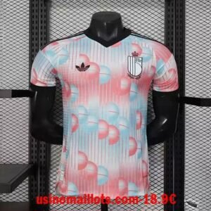 Maillot Match Belgique Extérieur Coupe du Monde 2026