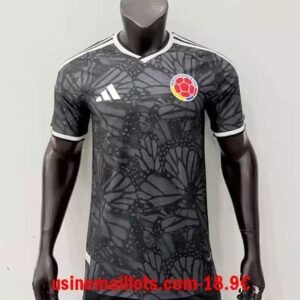 Maillot Match Colombie 2026 Gris