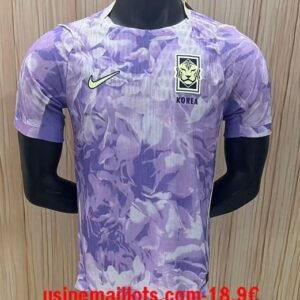 Maillot Match Corée du Sud Extérieur Coupe du Monde 2026