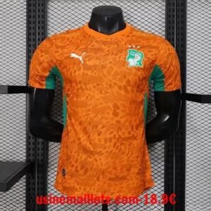 Maillot Match Ivory Coast Domicile 2026/2027