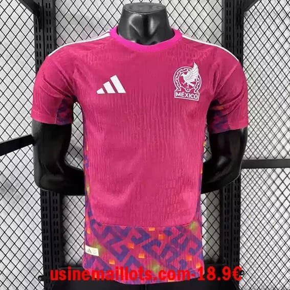 Maillot Match Mexique Gardien Coupe du Monde 2026