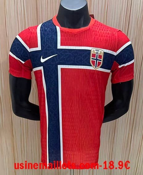 Maillot Match Norvege Domicile Coupe du Monde 2026