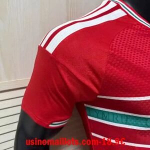 Alternative view of Maillot Match Pays de Galles Domicile Coupe du Monde 2026