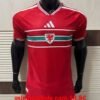 Maillot Match Pays de Galles Domicile Coupe du Monde 2026