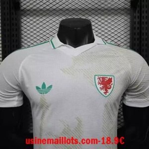Alternative view of Maillot Match Pays de Galles Extérieur Coupe du Monde 2026