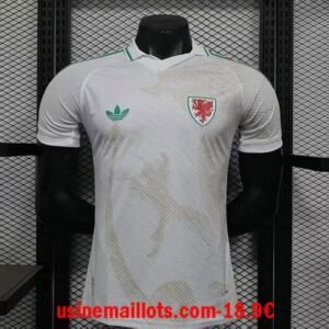 Maillot Match Pays de Galles Extérieur Coupe du Monde 2026