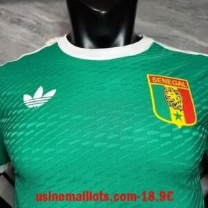 Alternative view of Maillot Match Sénégal 2026/2027 Vert