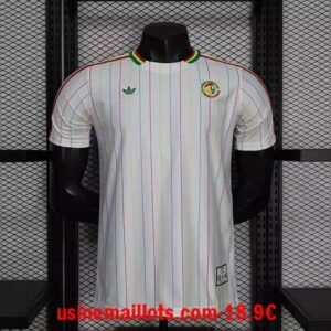 Maillot Match Sénégal 2026 Blanc