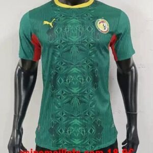 Maillot Match Sénégal Extérieur Coupe du Monde 2026