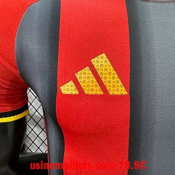 Maillot Match Spécial-Édition Belgique 2026 Rouge Gris – Image 2
