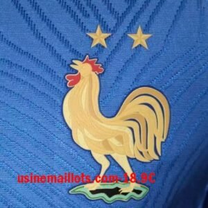 Alternative view of Maillot Match Special-Édition France 2026/27