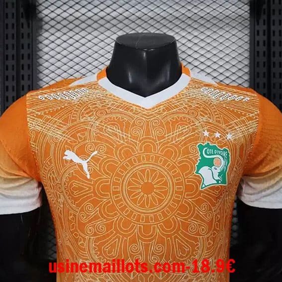 Maillot Match Spécial-édition Ivory Coast 2026/27 – Image 2