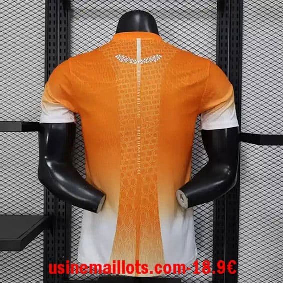 Maillot Match Spécial-édition Ivory Coast 2026/27 – Image 5