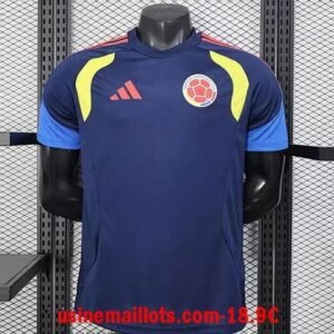 Maillot Match Training Colombie 2026 Bleu