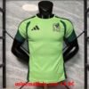 Maillot Match Training Mexique 2026 Vert