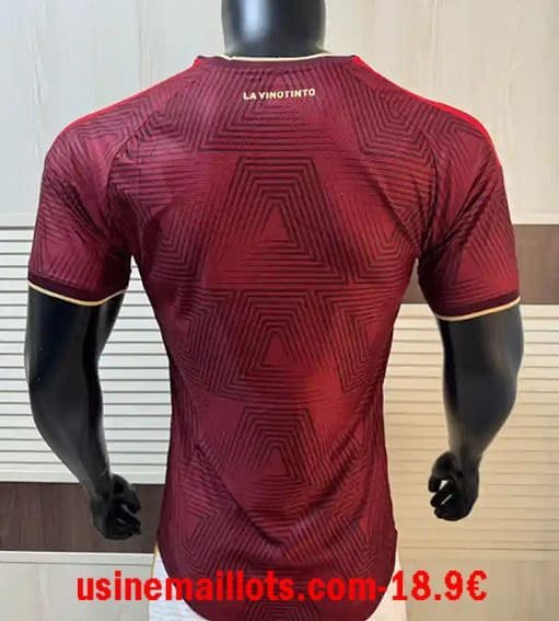 Maillot Match Venezuela Domicile Coupe du Monde 2026 – Image 5