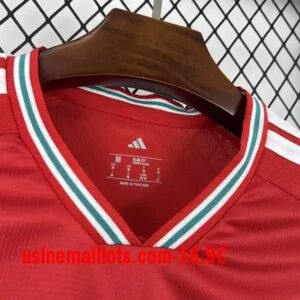 Alternative view of Maillot Pays de Galles Domicile Coupe du Monde 2026