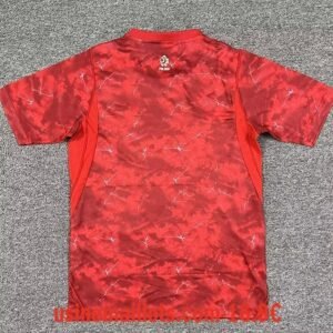 Alternative view of Maillot Pologne Extérieur Coupe du Monde 2026