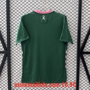 Alternative view of Maillot Saint-Etienne 2025/2026 Vert