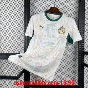 Maillot Sénégal Domicile Coupe du Monde 2026