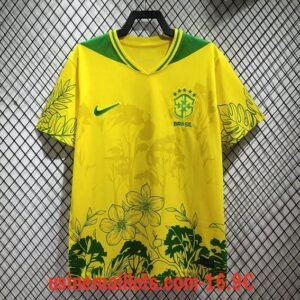 Maillot Special-Édition Bresil 26/27 Jaune Vert