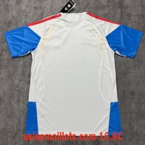 Alternative view of Maillot Training Colombie 2026/27 Blanc Bleu