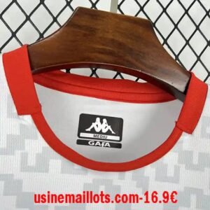 Alternative view of Maillot Tunisie Extérieur Coupe du Monde 2026